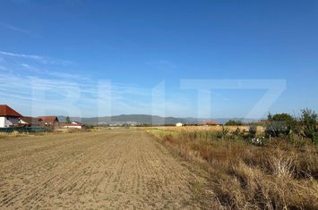 Teren de vanzare CIUGUD - Alba anunturi imobiliare Alba
