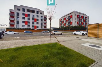 Spatiu comercial 60 mp anunturi imobiliare Arad