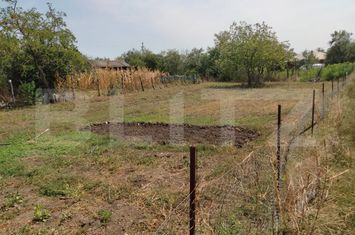 Casă - 4 camere de vanzare CRAIOVA - Dolj anunturi imobiliare Dolj