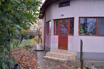 VANZARE CASA P+1 SAT ISLAZ COM. BRANESTI (IF) anunturi imobiliare Bucuresti