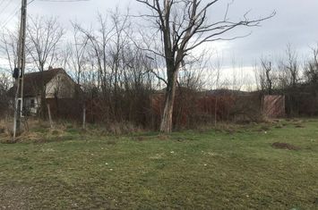 teren intravilan 3368 mp in Hodis, jud Arad anunturi imobiliare Arad