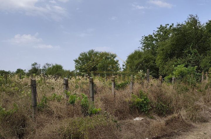 Teren intravilan potential investitie, str Solstitiului, Popesti Leordeni anunturi imobiliare Bucuresti