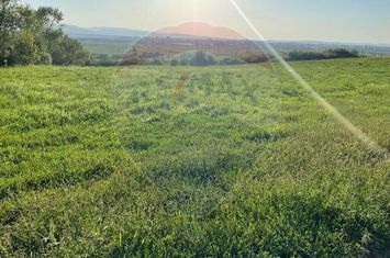Teren Intravilan de vanzare EXTERIOR VEST - Sibiu anunturi imobiliare Sibiu