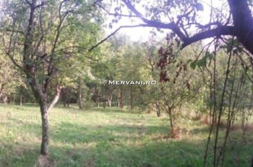 Teren de vânzare în Cornu anunturi imobiliare Prahova