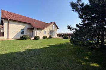 Vila cu piscina | gradina 600 mp | zona Iancu Nicolae | anunturi imobiliare Bucuresti