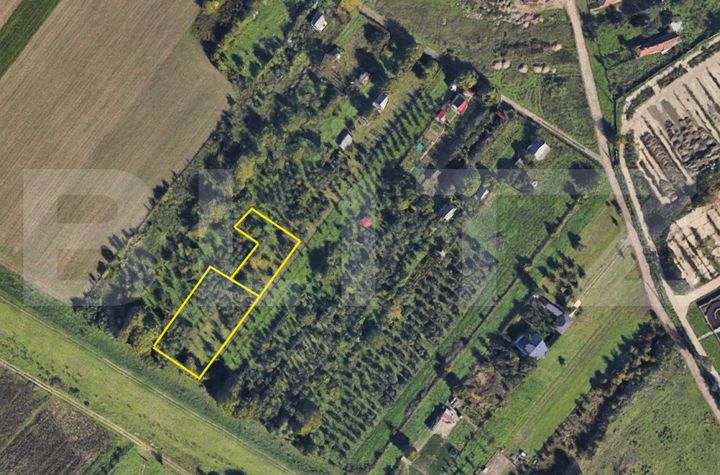 Teren de vanzare SATU MARE - Satu Mare anunturi imobiliare Satu Mare