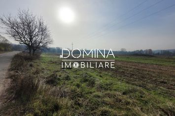 Teren de vanzare URSATI - Gorj anunturi imobiliare Gorj