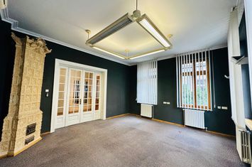 UNIRII - Palatul Parlamentului BIROURI in vila D+P+1+M 500 mp utili anunturi imobiliare Bucuresti