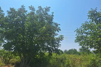 Teren Intravilan de vânzare Bucuresti - Popesti-Leordeni