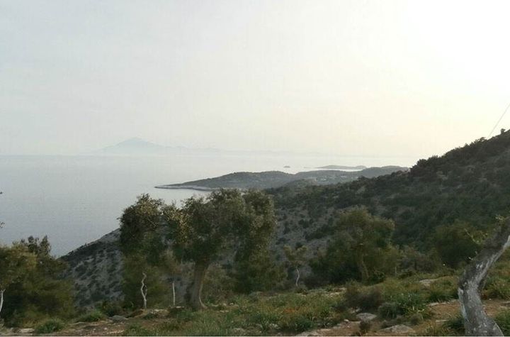 Teren construibil 8.804 mp în Theologos, Thassos anunturi imobiliare Grecia