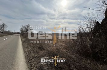 Teren de vanzare CACIULESTI - Neamt anunturi imobiliare Neamt