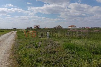 Terenuri de vânzare | Săcălaz| Parcele variate + oportunități investiționale anunturi imobiliare Timis