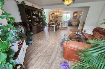 Vilă - 5 camere de vanzare VINTU DE JOS - Alba anunturi imobiliare Alba