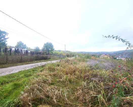 Teren Barnova, 1500 mp