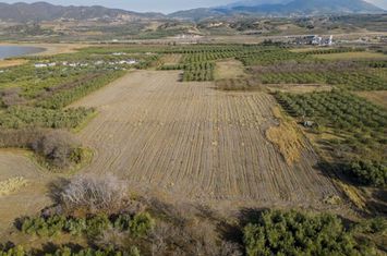 Teren agricol 4.000 mp în Paralia Ofriniou anunturi imobiliare Grecia