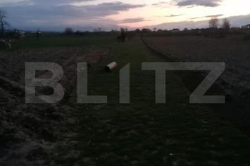 Teren de vanzare VINTU DE JOS - Alba anunturi imobiliare Alba