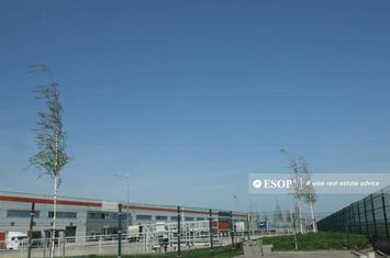 Spațiu industrial de inchiriat BOLINTIN-DEAL - Giurgiu anunturi imobiliare Giurgiu