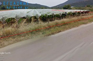 Teren construibil 10.000 mp în Mirtofito anunturi imobiliare Grecia