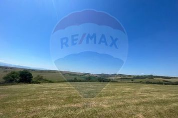 Teren extravilan de vanzare in Dealul Daii, Rosia anunturi imobiliare Sibiu