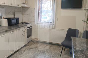 Apartament 2 camere de vanzare DAMBOVITA - Timis anunturi imobiliare Timis