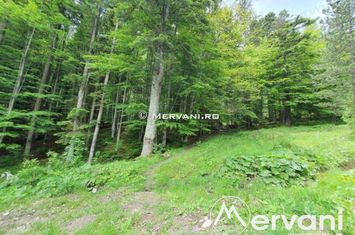 Teren Intravilan de vanzare SINAIA - Prahova anunturi imobiliare Prahova