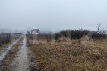 Teren de vanzare CIUREA - Iasi anunturi imobiliare Iasi