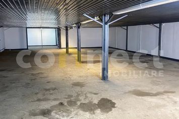 Spațiu industrial de inchiriat CLUJ-NAPOCA - Cluj anunturi imobiliare Cluj