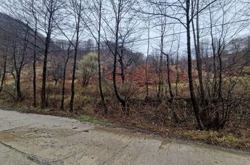 Teren de vanzare PESTISANI - Gorj anunturi imobiliare Gorj