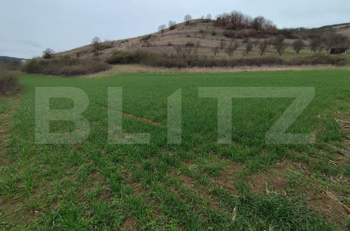 Teren de vanzare VINTU DE JOS - Alba anunturi imobiliare Alba