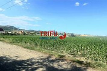 Teren Intravilan de vanzare IGHIU - Alba anunturi imobiliare Alba