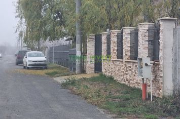 Teren Intravilan de vanzare COMUNA 1 DECEMBRIE - Bucuresti anunturi imobiliare Bucuresti