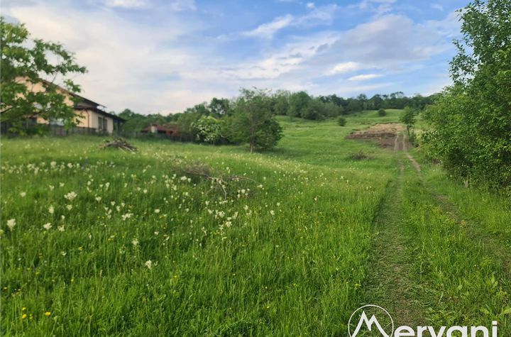 Teren Intravilan de vanzare MUSCEL - Prahova anunturi imobiliare Prahova