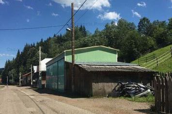Casa P+E + atelier si anexe, Sadova, jud Suceava anunturi imobiliare Suceava