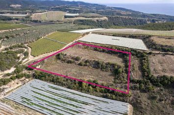 Teren 11.750 mp în Paralia Folias, Kavala anunturi imobiliare Grecia