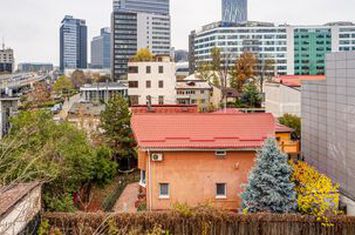 Teren Intravilan de vanzare FLOREASCA - Bucuresti anunturi imobiliare Bucuresti