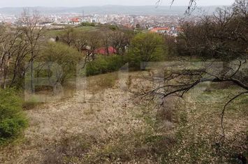 Teren de vanzare CETATE - Alba anunturi imobiliare Alba