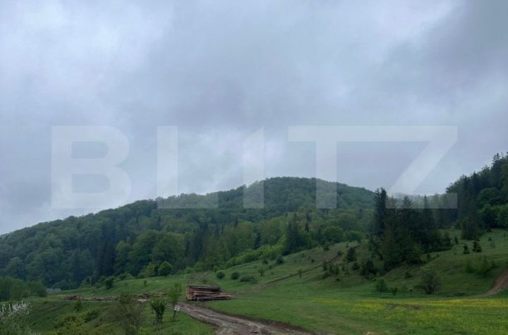 Teren de vanzare MARGINEA - Suceava anunturi imobiliare Suceava