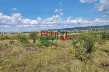 Teren Extravilan de vanzare CENTRAL - Alba anunturi imobiliare Alba