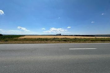 Teren de vanzare in Sacadat zona Coca Cola cu acces din DN1-Pret9 e/mp anunturi imobiliare Bihor