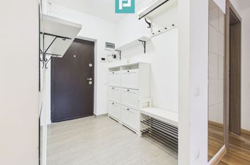 2 camere cu grădină proprie sec 3 cu acces metrou anunturi imobiliare Bucuresti