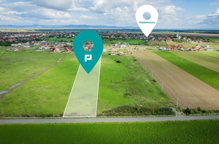 Teren de 7900 mp în Vladimirescu anunturi imobiliare Arad