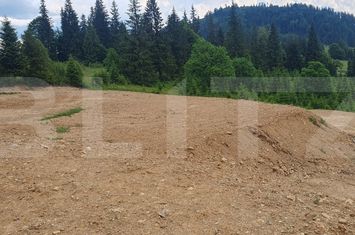 Teren de vanzare VATRA DORNEI - Suceava anunturi imobiliare Suceava