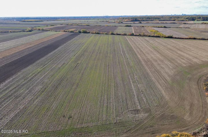 Bucovat - Lot Intravilan 2.27 Ha, PUZ inceput, Rezidential + Servicii anunturi imobiliare Timis