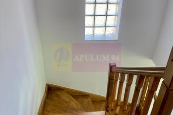 Duplex 4 camere , curte 250 mp, renovat 2025 — Mogoșoaia anunturi imobiliare Bucuresti