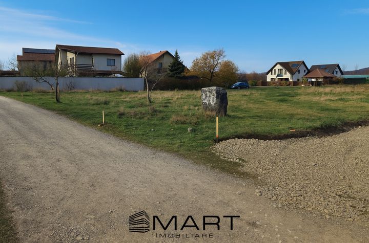 Teren de vanzare HARMAN - Brasov anunturi imobiliare Brasov