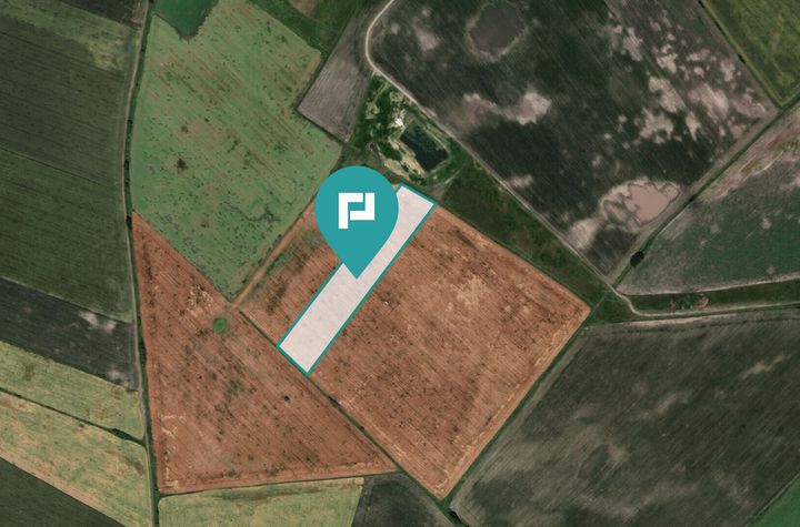 Teren extravilan de 28900 mp în Variașul Mare anunturi imobiliare Arad