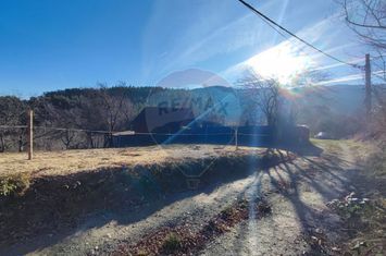 Teren intravilan de vânzare – Vale (Saliste), județul Sibiu anunturi imobiliare Sibiu