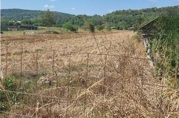 Teren Intravilan de vanzare MIHAESTI - Valcea anunturi imobiliare Valcea