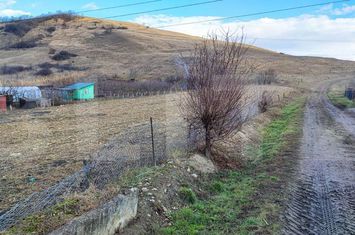Teren de vanzare APAHIDA - Cluj anunturi imobiliare Cluj