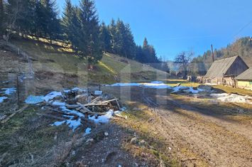 Teren de vanzare SCARISOARA - Alba anunturi imobiliare Alba